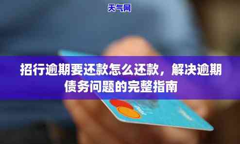 协商还款信用卡，解决信用卡债务问题：协商还款的步骤和技巧