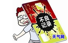 信用卡贷款应怎样还-信用卡贷款应怎样还款