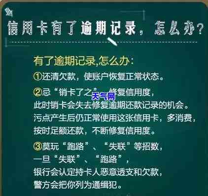 石家代还信用卡的电话号码是多少？