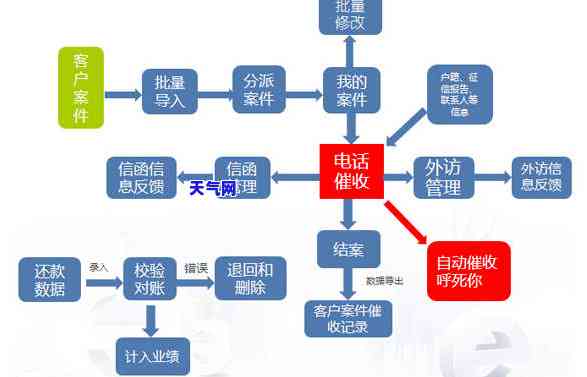 州银行公司，揭秘州银行公司的运作模式与服务内容