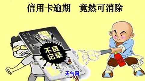 中信信用卡协商材料全解：内容、含义及样例