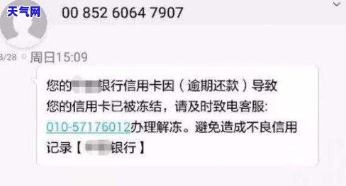 在如何还信用卡账单？详细步骤与注意事