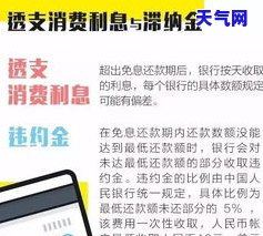 信用卡分期付款，轻松购物，灵活支付：信用卡分期付款详解