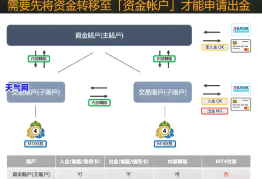 如何将资金转入信用卡账户？详细步骤解析