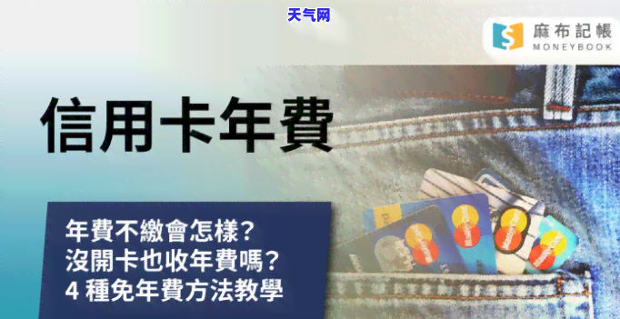 什么还信用卡年费-什么还信用卡年费更低