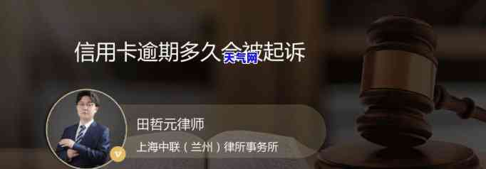 有多少信用卡逾期被起诉的人？请提供详细数据