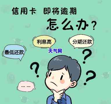 上海市信用卡代还，轻松解决上海信用卡还款问题，专业代还服务让你无忧无虑