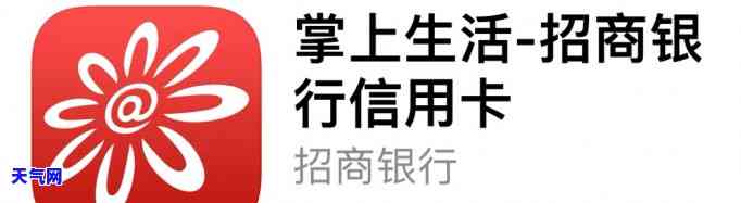 掌上生活还信用卡：操作流程、常见问题解答