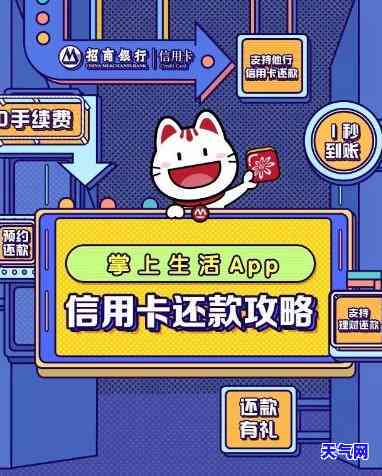 掌上生活还信用卡：操作流程、常见问题解答