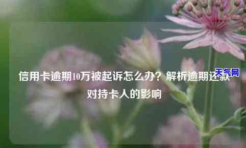 信用卡逾期超10万被起诉怎么办？解决方案全解析