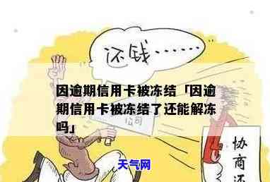 信用卡冻结能否协商按月还款？操作流程是什么？