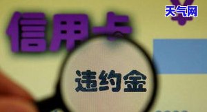 信用卡滞纳金过多如何起诉？详解法院流程与步骤