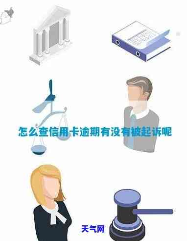 如何查询信用卡是否被起诉：详细步骤与技巧