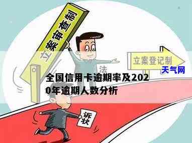 中国信用卡被起诉人数：2020年具体数据是多少？