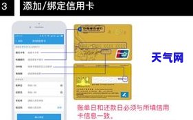 信用卡代还金额查询-信用卡代还金额查询怎么查