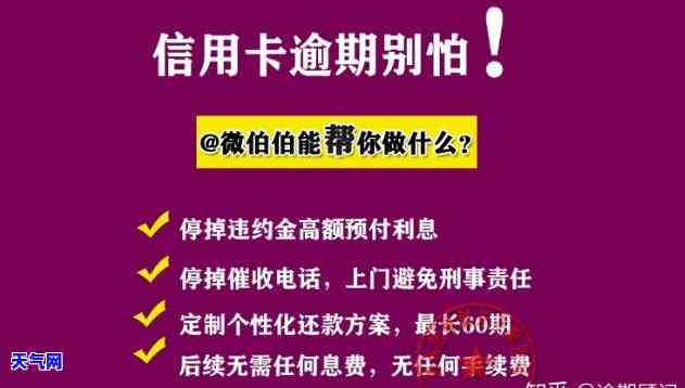 信用卡5万逾期多久会被起诉？关键期限与诉讼成功率解析