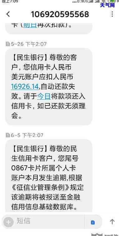 民生银行信用卡被起诉的后果是什么，民生银行信用卡被起诉：可能面临的后果有哪些？