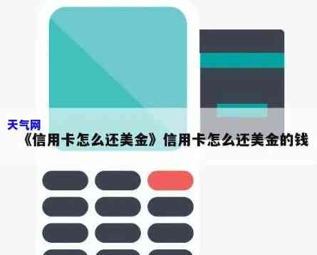 美元现汇能否用于偿还信用卡？查询方法