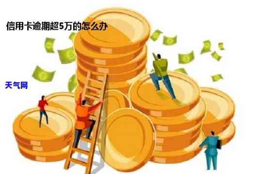 信用卡超5万没还-信用卡超5万没还怎么办