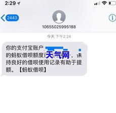 借呗协商还款，该打哪个电话？支付宝官方解答