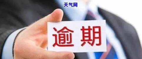 信用卡逾期被怎么办？知乎用户分享经验与解决方案