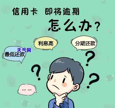 为什么有人代还信用卡不能分期？影响因素解析