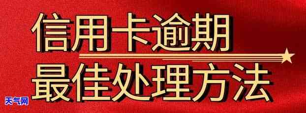 5张信用卡逾期6个月了，暂时无力偿还，如何处理？