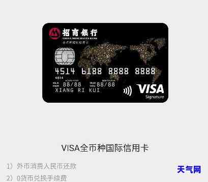 出国一定要用VISA卡吗？探讨国际旅行支付方式的选择