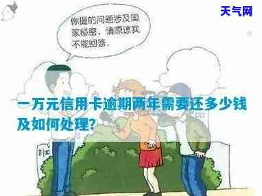 如何还清刷信用卡一万块钱？详细步骤解析