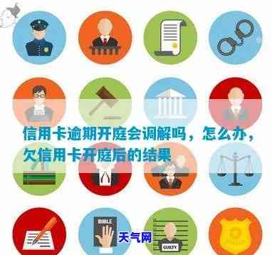 法院是否会审理、调查和调解信用卡？