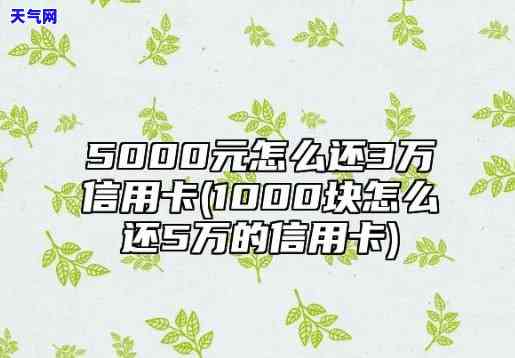 信用卡五百怎么还五千-信用卡五百怎么还五千的钱