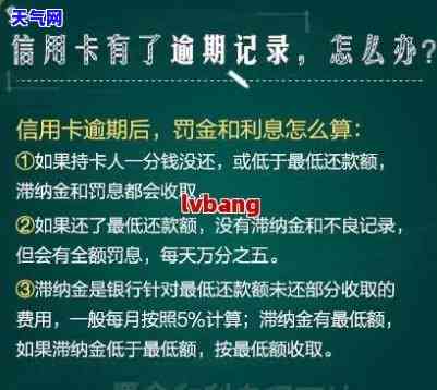 催款小品视频合集：全面收录催款小品视频素材