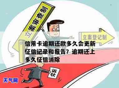 还了信用卡后多长时间能刷卡使用？报告多久更新？