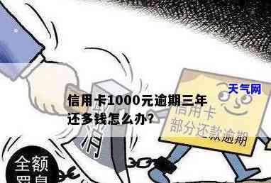 每个月还1000信用卡-每个月还1000信用卡欠多少