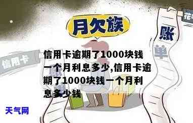 每个月还1000信用卡-每个月还1000信用卡欠多少