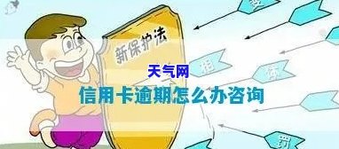 合川信用卡逾期电话：查询及解决办法