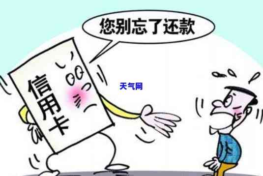 什么是信用卡代还业务，揭秘信用卡代还业务：你必须知道的一切