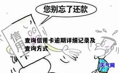 查询信用卡逾期消息的方法与途径