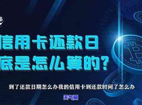 怎么去还信用卡？详细步骤帮你解决还款问题