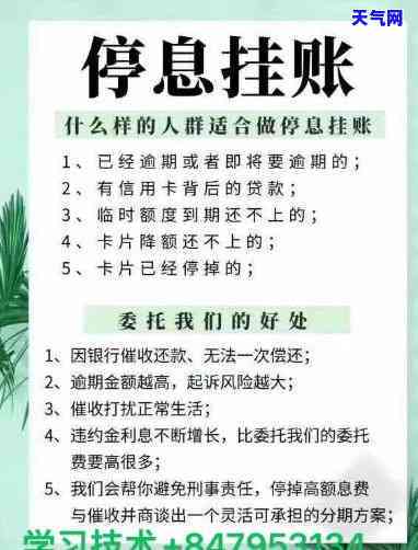 网贷怎么办停息挂账？业务申请全攻略！