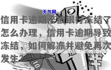 逾期信用卡解冻流程，如何解决逾期信用卡冻结问题？详解解冻流程