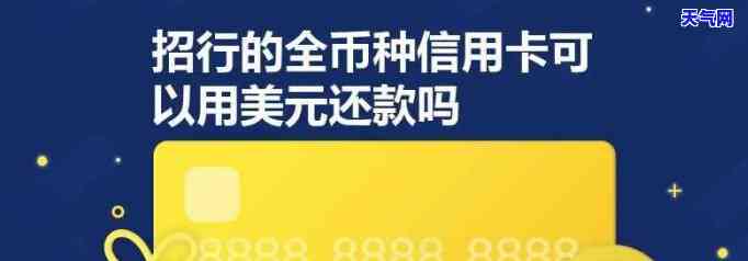 招商信用卡刷美金怎么还-招商信用卡刷美金怎么还款