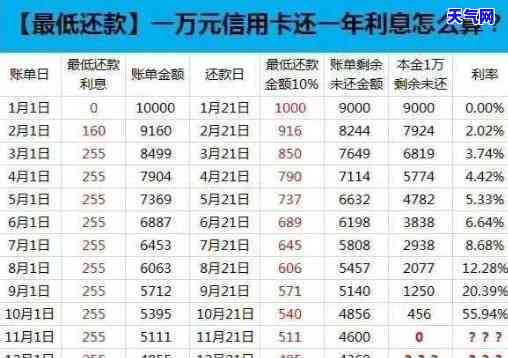 信用卡借款只还利息-信用卡借款只还利息最后还本金