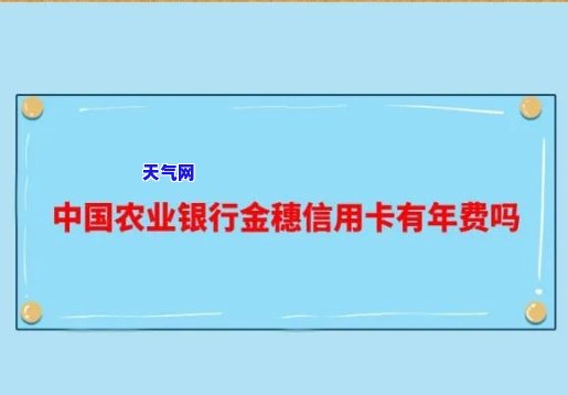 农行的金穗卡信用卡：是否有年费？好用吗？