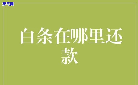 白条还款分期怎么弄，小白必看：如何操作白条还款分期？