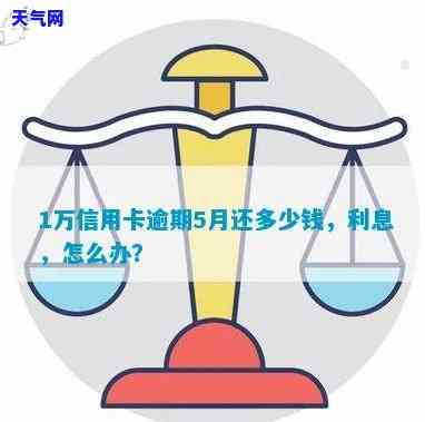 信用卡1万块更低还款利息：每月多少钱？