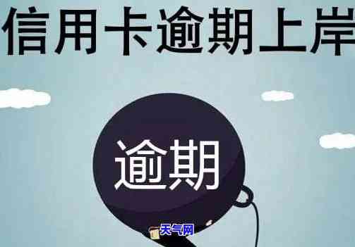 信用卡逾期申报-信用卡逾期申报先分期还本金能通过吗