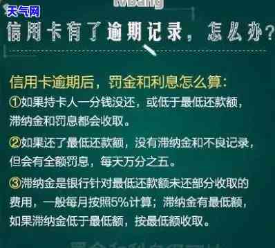 买房信用卡怎么还房贷的，如何使用信用卡偿还购房贷款？全面解析还款流程与注意事