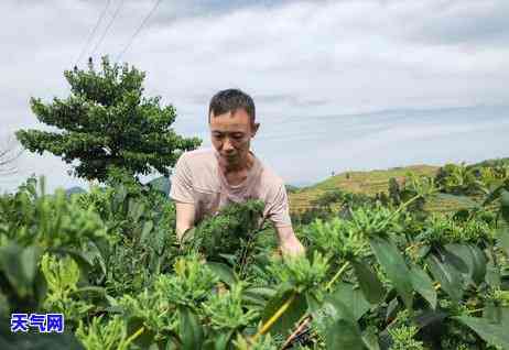 欠农行信用卡要求一次结清：合法处理方式与解决方案