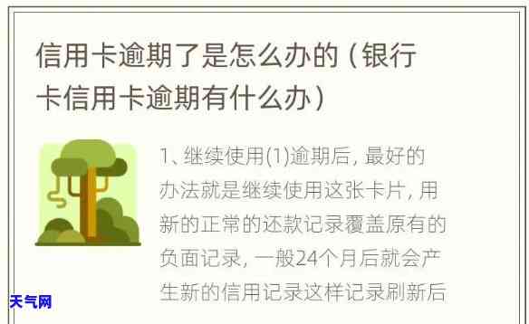 信用卡开始逾期-信用卡开始逾期之一天怎么做